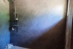 Master shower