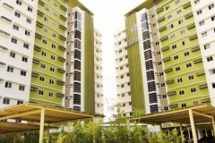 midori front view 2