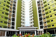 midori front view