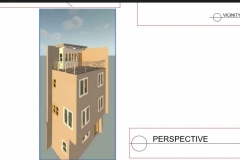 ana mae perspective