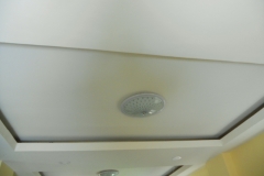 DSCN8591