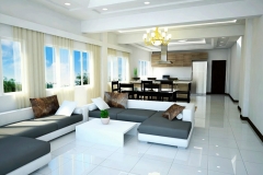 living-dining view copy