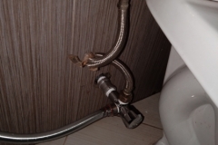 add a bidet for better hygiene