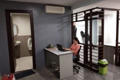 bathroom and wall renovations