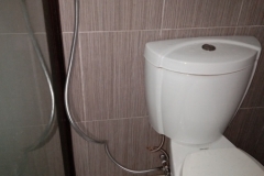 upgrade the toilet