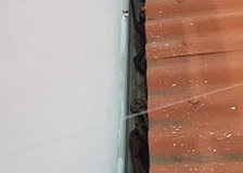 dead-leaves-getting-stuck-on-the-gutters