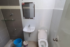 elegant-bathroom-good-color-combination