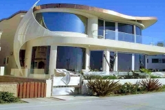 giant nautilus