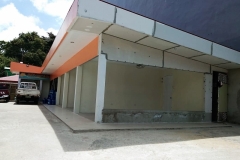 julie commercial side view