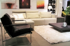 elegantly simplified living room maximization