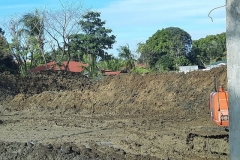 lets look for buried treasures here