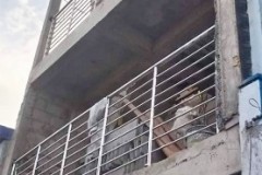 all-stainless-rails-and-safety-stainless-rods