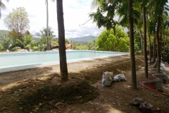 DSCN1916